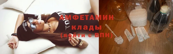 ГАЛЛЮЦИНОГЕННЫЕ ГРИБЫ Покровск