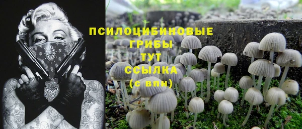 ГАЛЛЮЦИНОГЕННЫЕ ГРИБЫ Покровск