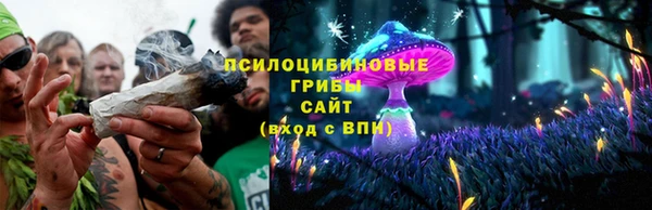 ГАЛЛЮЦИНОГЕННЫЕ ГРИБЫ Покровск