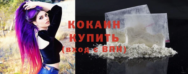 мдпв Грязовец