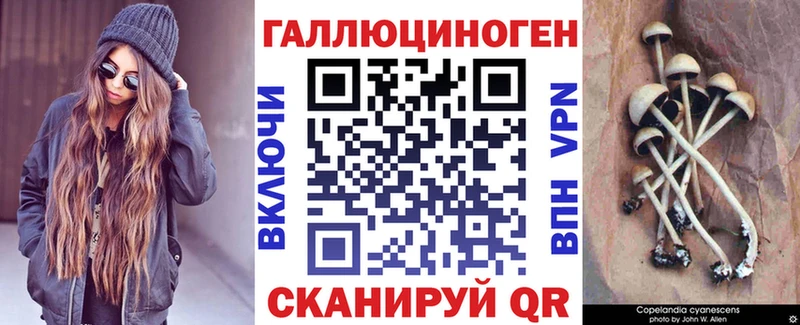 цены Туапсе Псилоцибиновые грибы GOLDEN TEACHER