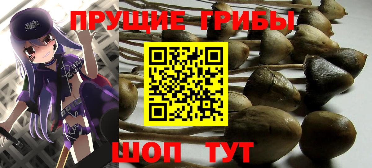 Галлюциногенные грибы Psilocybine cubensis  даркнет сайт  Туапсе  Вход с VPN 